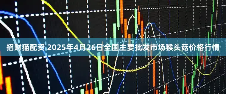 招财猫配资 2025年4月26日全国主要批发市场猴头菇价格行情