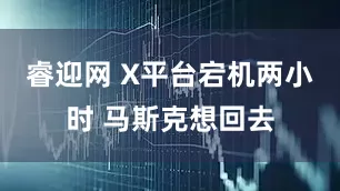 睿迎网 X平台宕机两小时 马斯克想回去