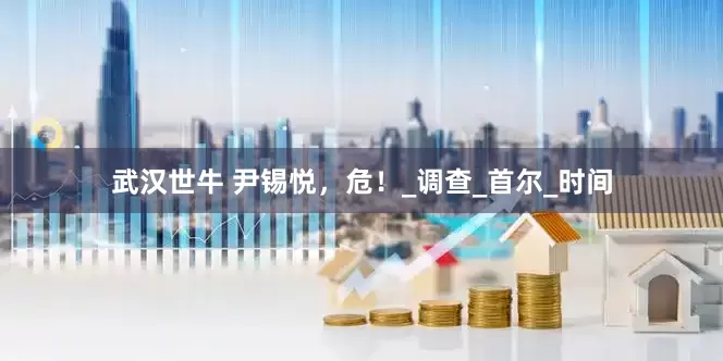 武汉世牛 尹锡悦，危！_调查_首尔_时间