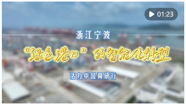 盟牛配资 活力中国调研行｜浙江宁波：“绿色港口”的智能化转型_大皖新闻 | 安徽网