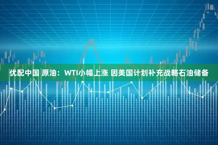 优配中国 原油：WTI小幅上涨 因美国计划补充战略石油储备